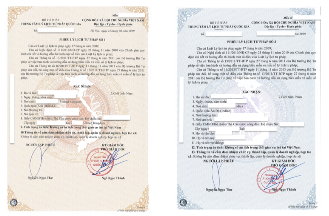 criminal record vietnam 2025
